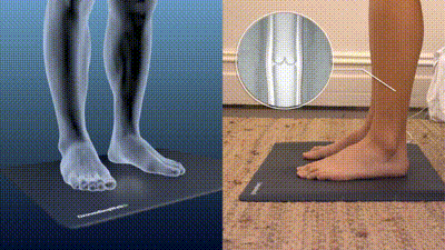 Earth Grounding Mat